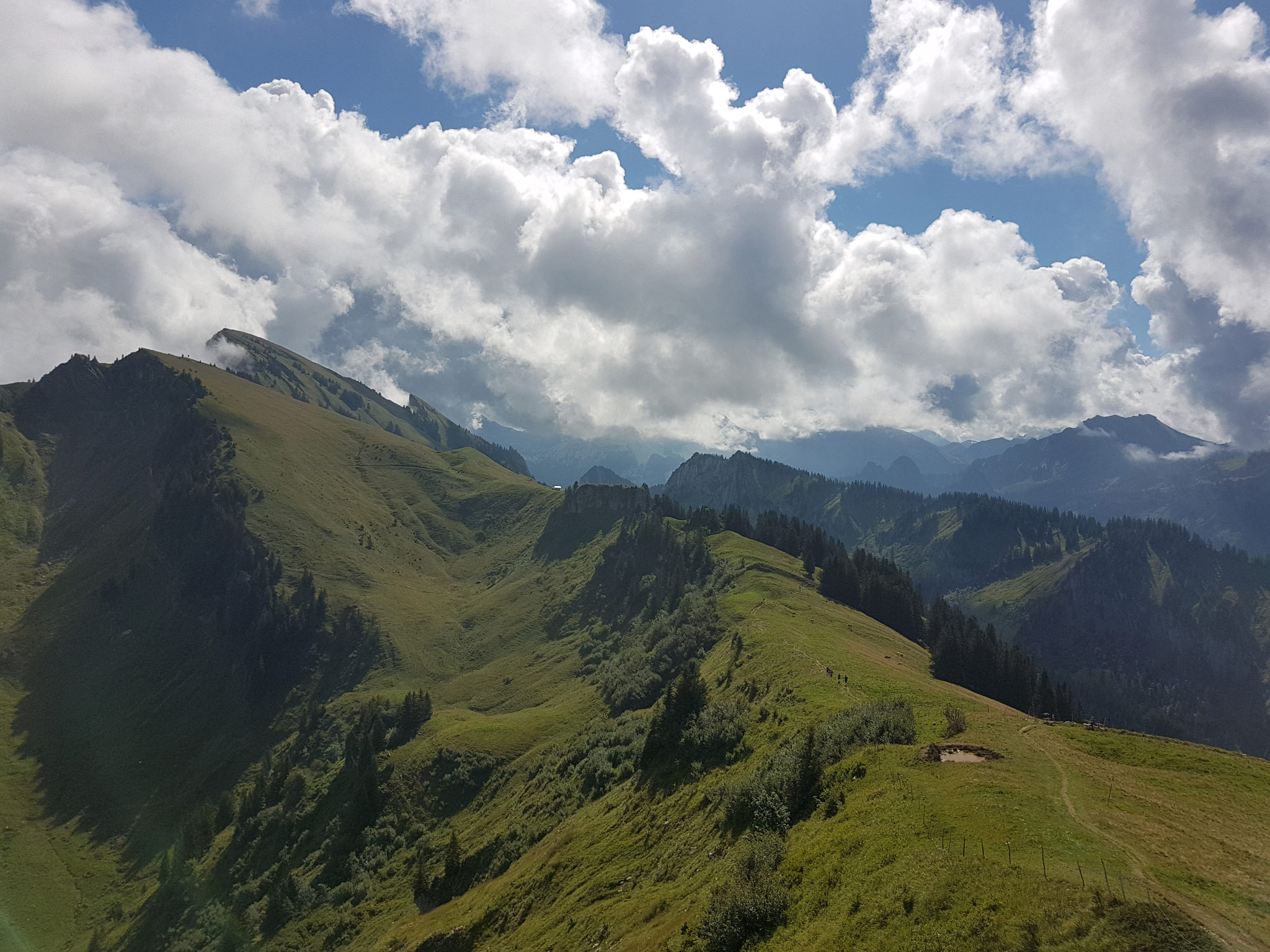 Andelsbuch, Schwarzenberg